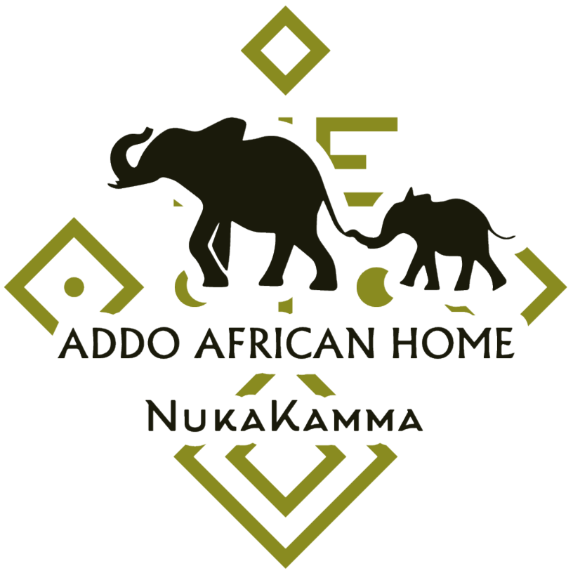Eco Lodge Accommodation in Addo - Addo African Home